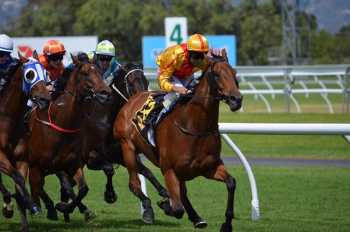 Durban July horse racing